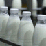 «Социальное молоко»  теперь получить еще проще - Газета Сельская новь